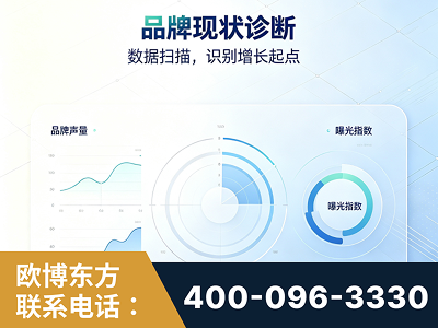 灵武-品牌现状诊断
