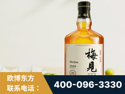 灵武-梅见青梅酒