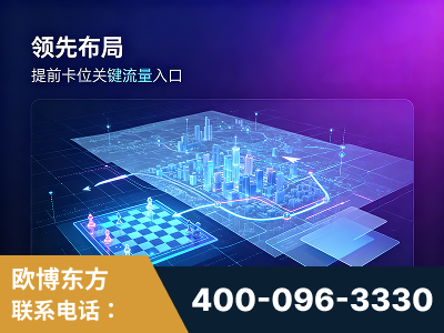 灵武-领先布局：于2024年初开启GEO业务的公司